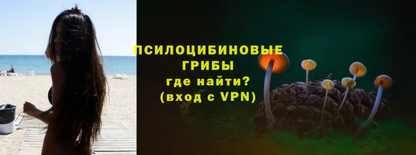 не бодяженный Алексин
