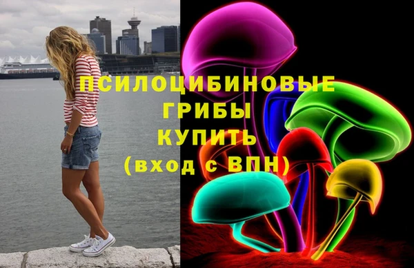 соль ск Абаза
