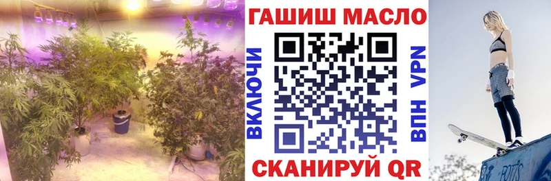 mega ссылки  Искитим  ТГК вейп с тгк 
